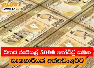 ව්යාජ රුපියල් 5000 නෝට්ටු සමග සැකකාරියක් අත්අඩංගුවට