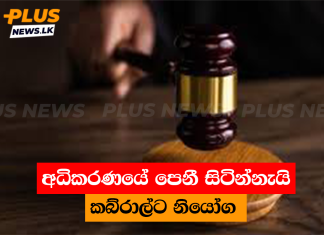 අධිකරණයේ පෙනී සිටින්නැයි කබ්රාල්ට නියෝග