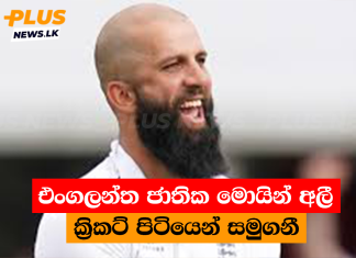 එංගලන්ත ජාතික මොයින් අලී ක්රිකට් පිටියෙන් සමුගනී