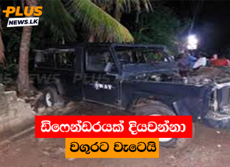 ඩිෆෙන්ඩරයක් දියවන්නා වගුරට වැටෙයි