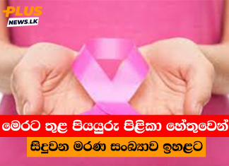 මෙරට තුළ පියයුරු පිළිකා හේතුවෙන් සිදුවන මරණ සංඛ්යාව ඉහළට