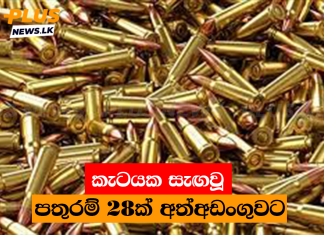 කැටයක සැඟවූ පතුරම් 28ක් අත්අඩංගුවට