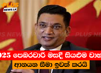 2025 පෙබරවාරි මසදී සියළුම වාහන ආනයන සීමා ඉවත් කරයි