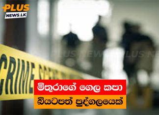 මිතුරාගේ ගෙල කපා බියටපත් පුද්ගලයෙක්