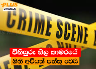 විනිසුරු නිල කාමරයේ ගිනි අවියක් පත්තු වෙයි