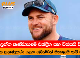 එක්දින සහ විස්සයි විස්ස පුහුණුකරු ලෙස බ්රෙන්ඩන් නම් කරයි