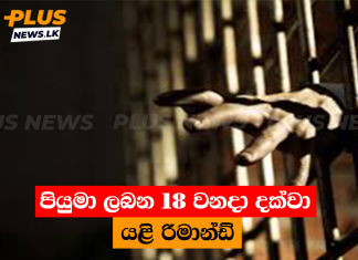පියුමා ලබන 18 වනදා දක්වා යළි රිමාන්ඩ්