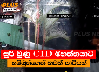 සූර් වුණු CID මහත්තයාට ගම්මුන්ගෙන් තවත් පාටියක්