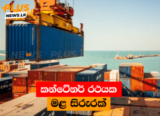 කන්ටේනර් රථයක මළ සිරුරක්
