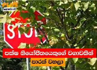 පක්ෂ නියෝජිතයෙකුගේ වගාවකින් පාරක් වහලා