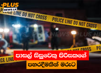 පාසල් සිසුවෙකු පිරිසකගේ පහරදීමකින් මරුට