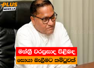 මන්ත්රී වරප්රසාද පිළිබඳ සොයා බැලීමට කමිටුවක්