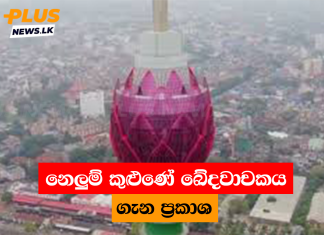 නෙලුම් කුළුණේ ඛේදවාචකය ගැන ප්රකාශ