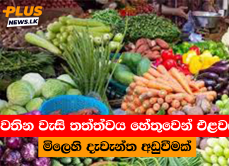 පවතින වැසි තත්ත්වය හේතුවෙන් එළවළු මිලෙහි දැවැන්ත අඩුවීමක්