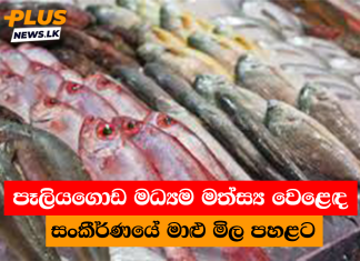 පෑලියගොඩ මධ්යම මත්ස්ය වෙළෙඳ සංකීර්ණයේ මාළු මිල පහළට