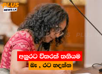 අනුරට විතරක් තනියම බෑ , රට හදන්න