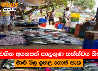 පවතින අයහපත් කාලගුණ තත්ත්වය නිසා මාළු මිල ඉහළ ගොස් ඇත