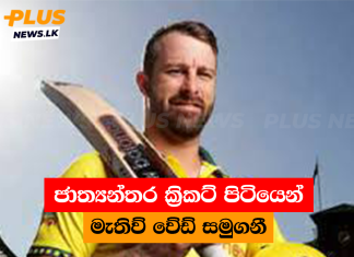 ජාත්යන්තර ක්රිකට් පිටියෙන් මැතිව් වේඩ් සමුගනී