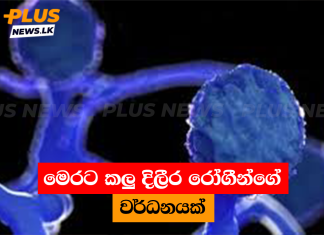 මෙරට කලු දිලීර රෝගීන්ගේ වර්ධනයක්