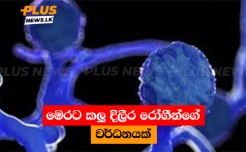 මෙරට කලු දිලීර රෝගීන්ගේ වර්ධනයක්