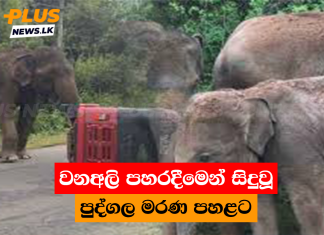 වනඅලි පහරදීමෙන් සිදුවූ පුද්ගල මරණ පහළට