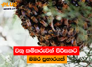 වතු කම්කරුවන් පිරිසකට බඹර ප්රහාරයක්