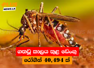 ගතවූ කාලය තුළ ඩෙංගු රෝගීන් 40,494 ක්