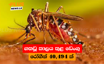 ගතවූ කාලය තුළ ඩෙංගු රෝගීන් 40,494 ක්