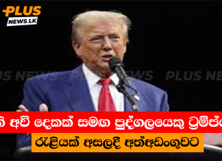 ගිනි අවි දෙකක් සමඟ පුද්ගලයෙකු ට්රම්ප්ගේ රැළියක් අසලදී අත්අඩංගුවට