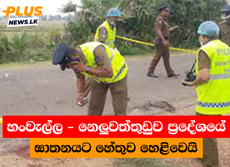 හංවැල්ල – නෙලුවත්තුඩුව ප්රදේශයේ ඝාතනයට හේතුව හෙළිවෙයි