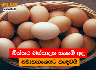 බිත්තර නිෂ්පාදන සංගම් අද අමාත්යාංශයට කැඳවයි