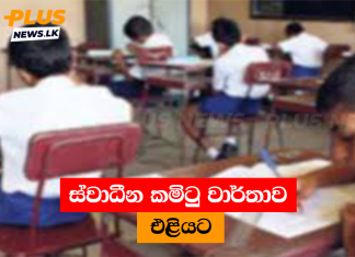 ස්වාධීන කමිටු වාර්තාව එළියට