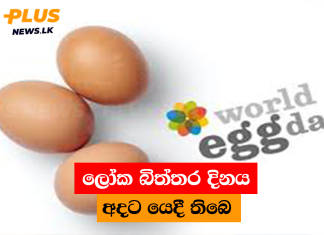 ලෝක බිත්තර දිනය අදට යෙදී තිබෙ