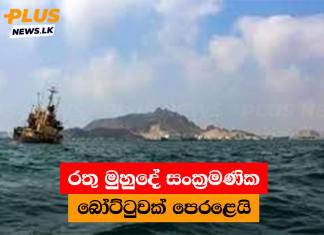 රතු මුහුදේ සංක්රමණික බෝට්ටුවක් පෙරළෙයි
