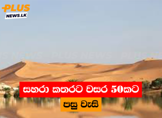 සහරා කතරට වසර 50කට පසු වැසි