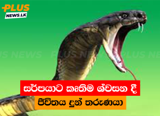 සර්පයාට කෘතිම ශ්වසන දී ජීවිතය දුන් තරුණයා