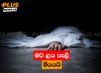 මව ළය පැලී මියයයි