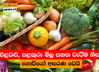 එළවළු, පළතුරු මිල පහත වැටීම නිසා ගොවියෝ අසරණ වෙයි