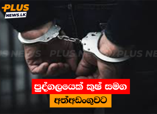 පුද්ගලයෙක් කුෂ් සමග අත්අඩංගුවට