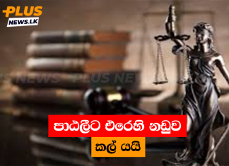 පාඨලීට එරෙහි නඩුව කල් යයි
