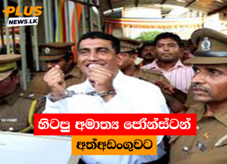 හිටපු අමාත්ය ජෝන්ස්ටන් අත්අඩංගුවට