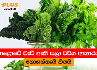 පොළොවේ වැවී ඇති පලා වර්ග ආහාරයට නොගන්නැයි කියයි