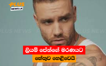 ලියම් පේන්ගේ මරණයට හේතුව හෙළිවෙයි