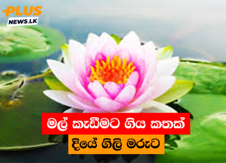 මල් කැඩීමට ගිය කතක් දියේ ගිලි මරුට