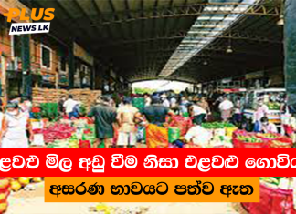 එළවළු මිල අඩු වීම නිසා එළවළු ගොවියන් අසරණ භාවයට පත්ව ඇත