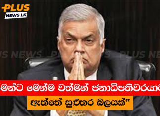 “තමන්ට මෙන්ම වත්මන් ජනාධිපතිවරයාටත් ඇත්තේ සුළුතර බලයක්”