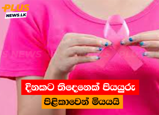දිනකට තිදෙනෙක් පියයුරු පිළිකාවෙන් මියයයි