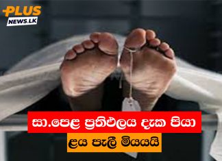 සා.පෙළ ප්රතිඵලය දැක පියා ළය පැලී මියයයි