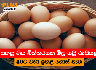 පහළ ගිය බිත්තරයක මිල යළි රුපියල් 40ට වඩා ඉහළ ගොස් ඇත