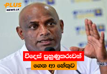 විදෙස් පුහුණුකරුවන් ගෙන ආ හේතුව